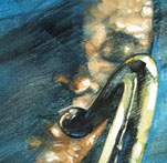 Illustrations